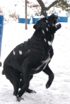 DSC_0146_0457-zarcak.jpg