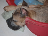 DSC_2088.JPG