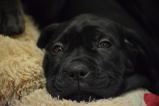 DSC_0333.JPG