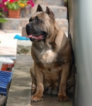 DSC_0951.JPG